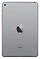 Apple iPad mini (2019) 256Gb Wi-Fi