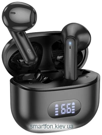 Borofone BW53