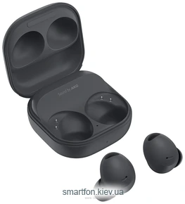 Samsung Galaxy Buds 2 ()