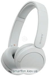 Sony WH-CH520 ()