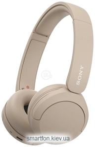 Sony WH-CH520 ()