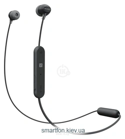 Sony WI-C300