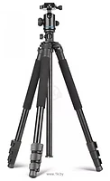 Zarrumi Arrow Pro 160