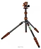 3 Legged Thing Punks Brian Tripod Kit with AirHed Neo (brian)