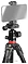 Falcon Eyes R-Line 815 BH