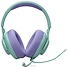 JBL Quantum 100M2 ()