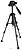 Raylab MT-Pro 32 ( )