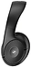 Sennheiser RS 120-W