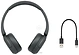 Sony WH-CH520 ()