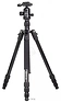 Raylab Pro 70 (с головой)