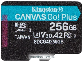 Kingston Canvas Go! microSDXC 256GB SDCG4/256GBSP