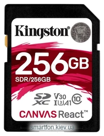 Kingston SDR/256GB