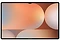 Samsung Galaxy Tab S10 Ultra Wi-Fi SM-X920 12/256GB