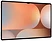 Samsung Galaxy Tab S10 Ultra Wi-Fi SM-X920 12/512GB