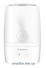 EcoStar Enjoy (ESH-EN250/2.0E)
