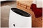 Sharp FP-J30EU-B