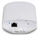 Ubiquiti LTU Lite
