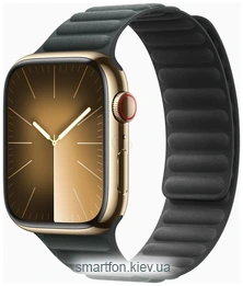 Apple Watch Series 9 45  ( ,  )