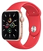 Apple Watch SE GPS 40mm Aluminum Case with Sport Band