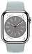 Apple Watch Series 8 LTE 41  (   ,  )