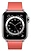 Apple Watch Series 6 GPS + Cellular 40mm Stainless Steel Case with Modern Buckle