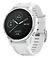 Garmin Fenix 6S