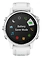 Garmin Fenix 6S
