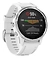 Garmin Fenix 6S