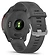 Garmin Forerunner 255