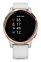 Garmin Vivoactive 4s