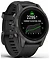 - Garmin Epix Pro Gen 2 Sapphire Titanium DLC (010-02802-15)