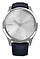 - Garmin Vivomove Luxe (leather)