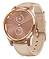 - Garmin Vivomove Luxe (leather)