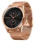 - Garmin Vivomove Luxe (milanese)