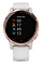 - Garmin Vivoactive 4s