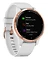 - Garmin Vivoactive 4s