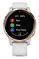 - Garmin Vivoactive 4s