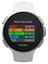 - Polar Vantage V