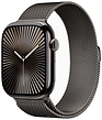 Apple Watch Series 10 LTE 46 мм (титановый корпус, миланский ремешок)