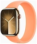 Apple Watch Series 9 45 мм (стальной корпус, силиконовый ремешок S/M)