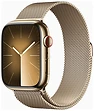 Смарт-часы Apple Watch Series 9 45 мм (стальной корпус, миланский)